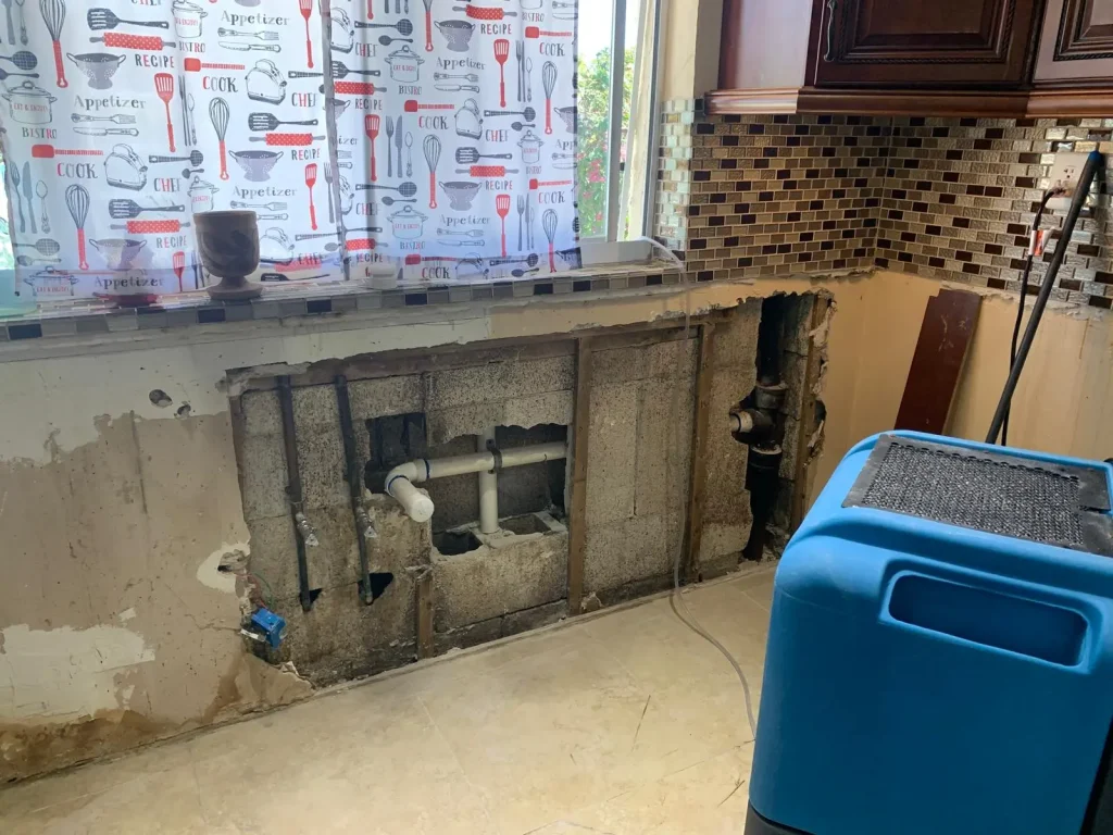 When to Call a Professional Plumber Instead of Using a Drain Snake